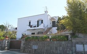 Don Giorgio Studios